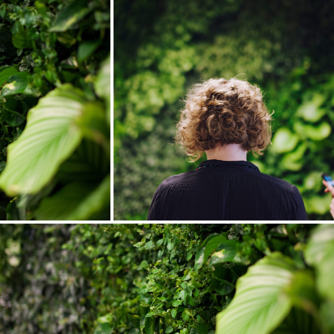 Photo: M-CO in-office living wall